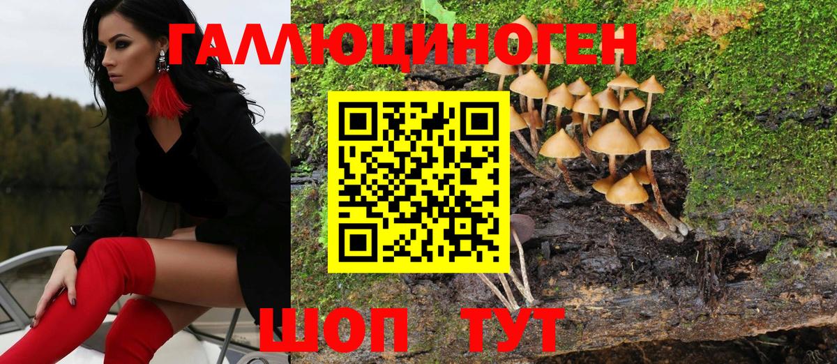 Галлюциногенные грибы GOLDEN TEACHER  купить  цена  Ликино-Дулёво  Вход с VPN 