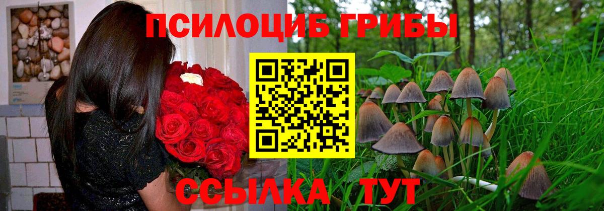 Галлюциногенные грибы GOLDEN TEACHER Ликино-Дулёво